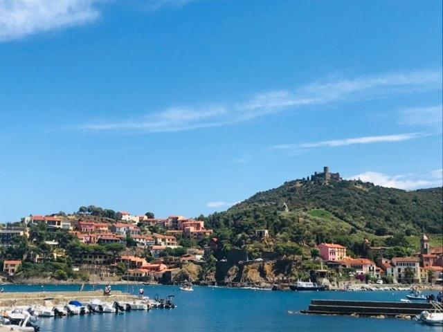 Villa Confort Et Cosy 20 Minutes D'Espagne Plage d'Argeles Ngoại thất bức ảnh