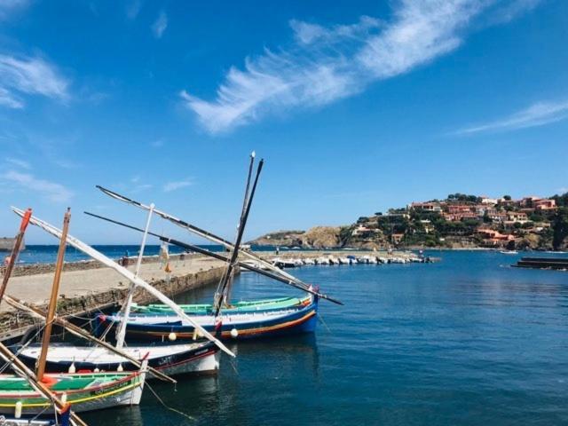 Villa Confort Et Cosy 20 Minutes D'Espagne Plage d'Argeles Ngoại thất bức ảnh